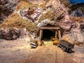 Mini models miner front of the cave for mining