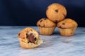 Mini muffin with chocolate chips and cocoa filling Royalty Free Stock Photo