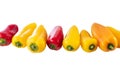 Mini multicolored peppers, aligned on a white background