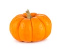 Mini Orange Pumpkin Isolated on White Royalty Free Stock Photo