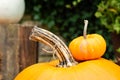 A mini orange pumpkin on one bigger at the autumn at outdoor farmers market