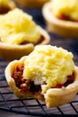 Mini pies with grownd meet Royalty Free Stock Photo