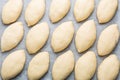 Mini pies Pirozhki or piroshki, on a cooking tray ready to be baked.