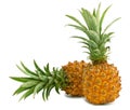 Mini pineapples