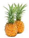 Mini pineapples