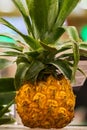 Mini pineapples on a shelf in a supermarket