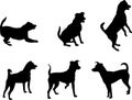 Mini pinscher dog silhouettes set Royalty Free Stock Photo