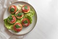 Mini pizza snack from oven baked zucchini slices, tomato, parmesan cheese and parsley garnish on a plate with lettuce leaves,