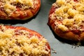 Mini pizzas or small pellets covered with cheese Royalty Free Stock Photo