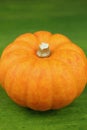 Mini pumpkin Royalty Free Stock Photo