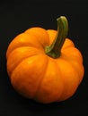 Mini Pumpkin