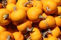 Mini Pumpkin Squashes Royalty Free Stock Photo