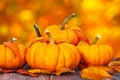 Mini pumpkins and autumn leaves with autumn bokeh Royalty Free Stock Photo