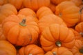 Mini Pumpkins Background Royalty Free Stock Photo