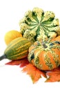 mini pumpkins on isolated white background. Halloween Royalty Free Stock Photo