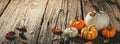 Mini Pumpkins And Leaves And Acorns On Rustic Wooden Harvest Table