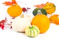 Mini pumpkins over white