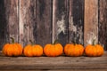 Mini pumpkins in a row against rustic wooden background Royalty Free Stock Photo