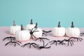 mini pumpkins surrounded by an infestation of spiders on a pink background against a horizon of blue sky Royalty Free Stock Photo