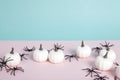 mini pumpkins surrounded by an infestation of spiders on a pink background against a horizon of blue sky Royalty Free Stock Photo