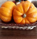 mini pumpkins Royalty Free Stock Photo