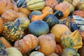 Mini colorful pumpkins