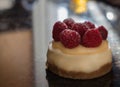 Mini raspberry cheesecake Royalty Free Stock Photo