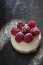 Mini raspberry cheesecake Royalty Free Stock Photo