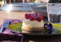 Mini raspberry cheesecake Royalty Free Stock Photo