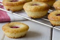 Mini Raspberry and Lemon Cupcakes on a Rack Royalty Free Stock Photo