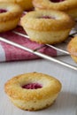 Mini Raspberry and Lemon Cupcakes on a Rack - Vertical Royalty Free Stock Photo