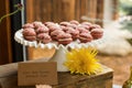 Mini Red Velvet Whoopie Pies Royalty Free Stock Photo