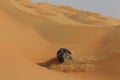 Mini Roll in dunes