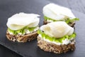 Mini sandwich with ricotta and white smoked fish Royalty Free Stock Photo