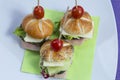 Mini sandwich set Royalty Free Stock Photo