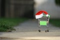 Mini shopping basket in the grass outside with a Santa hat as a concept for the new year, sales, Christmas shopping and mega promo