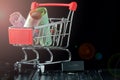Mini shopping cart with banknote and coin on laptop keyboard. Royalty Free Stock Photo
