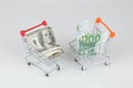 Mini shopping carts with dollar and euro banknotes, money concept Royalty Free Stock Photo