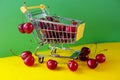 Mini shoppingcart with red ripe cherri