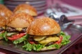 Beautifully decorated catering banquet table with different hamburgers burgers sandwiches on a plate on corporate birthday . Mini Royalty Free Stock Photo