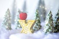 Mini snowy Christmas trees in the forest. Bokeh lights background Royalty Free Stock Photo