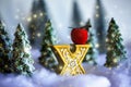 Mini snowy Christmas trees in the forest. Bokeh lights background Royalty Free Stock Photo