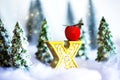 Mini snowy Christmas trees in the forest. Bokeh lights background Royalty Free Stock Photo