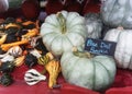 Mini squashes, gourds and blue pumpkins in a red cart.