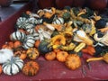 Mini squashes, gourds and pumpkins in a red cart.