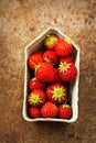 Mini strawberries in green container on metal sheet Royalty Free Stock Photo