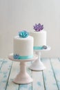 Mini succulent wedding cakes Royalty Free Stock Photo