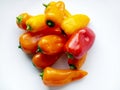 Mini sweet bell peppers red