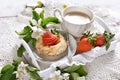 Mini tartlet with cottage cheese and strawberry and cappuccino