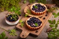 Mini tarts with wild forest blueberries and sour cream filling